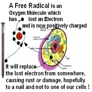 free radicals